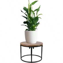 Plant Stands & TablesARTORA - Soporte para plantas corto para interiores de mediados de siglo taburete de metal y madera soporte moderno para plantas bajo para sala de estar balcón jardín patio negro y café - Negro1 - Ver 1