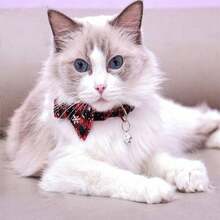 猫狗项圈，可拆卸蝴蝶结宠物项圈，雪花蝴蝶结狗项圈，可爱猫项圈，可调节狗胸带，适合猫狗日常佩戴