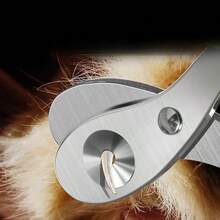 2件套宠物美容套装 - 猫咪指甲钳和宠物刷，猫咪除蚤梳 - 彩色 - 查看 3