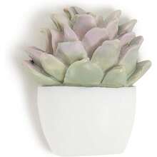 XISH U Brands - Juego de alfileres para suculentos Suministros de Oficina Tres Estilos Surtidos 9 Unidades - Verde - Ver 6