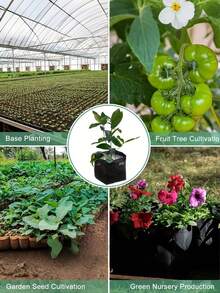 50pcs/Set Non-Woven Fabric Plant Grow Bags, Mixed Sizes Planter Containers, Suitable For Indoor & Outdoor Planting, Seedling Raising, Soil Transplanting, Home Gardening, Vegetable, Flower, Sapling Cultivation (Black)