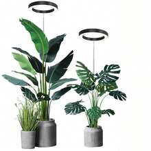 Adjustable Full Spectrum Indoor Plant Growth Light, LED Grow Light For Large Plants, Auto On/Off Timer (3/9/12H), 9 Brightness Levels - Full Spectrum - View 12