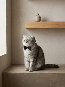 PETSIN 1pcPet Bowtie Necktie Bowknot Wedding Neck Bib False Collar - Multicolor - View 5