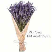 4 Bundles Dried Lavender With Newspaper-Wrapped, Fortunate Flowers Dried Lavender Bundle, 100+ Dried Lavender Stems Per Lavender Bunch, Dry Lavendar Dried Flowers By Lavender Plants Live, Lavanda Seca Natural Dried Lavender Flowers For Vase Filler, Decor - 紫色 - 查看 4
