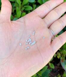 100pcs Adabele Authentic 925 Sterling Silver Crimp Tube Loose Beads 2mm Small Crimp Spacer (Hole 15mm) For DIY Craft Jewelry Making SS241-2 - ColorH - 查看 2