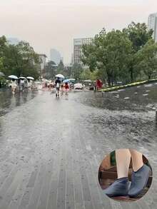 1 Pair Waterproof, Reusable, Anti-Slip Shoe Covers - Durable, Elastic, Easy To Clean, Unisex