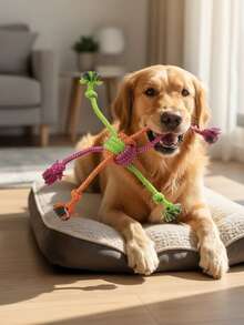 1个耐用防咬互动绳结狗玩具，适合拔河、捡球游戏，有助于减少磨牙，维护口腔健康，是宠物必备用品，可用作狗绳玩具，适合所有犬种，是户外玩耍和幼犬训练的理想选择。 - 彩色 - 查看 7