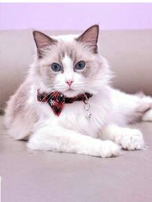 猫狗项圈，可拆卸蝴蝶结宠物项圈，雪花蝴蝶结狗项圈，可爱猫项圈，可调节狗胸带，适合猫狗日常佩戴