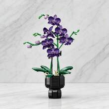 977片花卉主题积木：3D拼装玩具，袋装。高仿真度，造型多样，色彩丰富。包含月见草、玫瑰、月见草和雏菊。是花卉爱好者和初学者的理想之选。培养耐心，激发多元兴趣。适合办公室装饰、生日礼物和日常馈赠。 - 彩色 - 查看 2