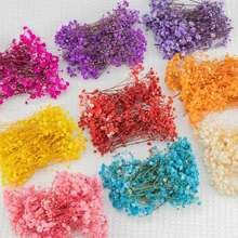 Dried Flower Bouquet - 黃色 - 查看 10