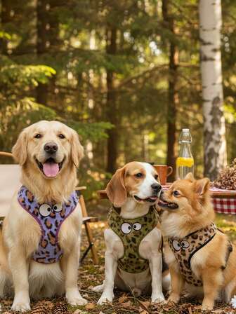 宠物胸背带/猫狗胸背带/狗狗胸背带套装，毛绒舒适设计，遛狗必备，适合小型、中型和大型犬，完美的圣诞节和新年礼物。