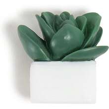 XISH U Brands - Juego de alfileres para suculentos Suministros de Oficina Tres Estilos Surtidos 9 Unidades - Verde - Ver 4