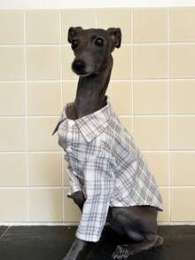 Haine pentru ogari italieni Whippet, cămașă ușoară în carouri și dungi de primăvară/vară, haine moi și confortabile pentru animale de companie - Kaki - Vizualizare 3