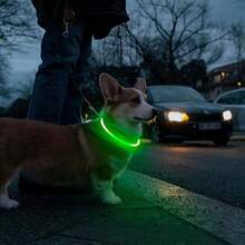 USB Rechargeable LED Dog Collar - Adjustable Pet Collar With 3 Lighting Modes And 360-Degree All-Round Safety Lighting, Suitable For Small/Medium/Large Dogs. Made Of Customizable TPU Material, Designed For Night Walking, Running And Hunting, Making Your Beloved Dog More Noticeable At Night. - Multicolor - View 6