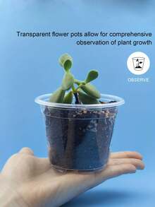 10个透明塑料花盆，带排水孔，现代圆形育苗容器，适合室内/室外使用，可重复使用，轻便耐用，是种植香草、多肉植物、幼苗、室内植物和园艺的理想选择。 - 彩色 - 查看 7