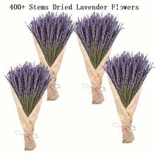 4 Bundles Dried Lavender With Newspaper-Wrapped, Fortunate Flowers Dried Lavender Bundle, 100+ Dried Lavender Stems Per Lavender Bunch, Dry Lavendar Dried Flowers By Lavender Plants Live, Lavanda Seca Natural Dried Lavender Flowers For Vase Filler, Decor - 紫色 - 查看 5