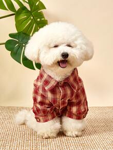 PETSIN 1 件宠物休闲格子衬衫，时尚春夏设计