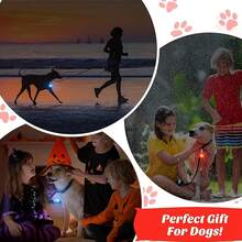 1pc Night Safety Pet Pendant, Glow-In-The-Dark LED Light, Suitable For Cats & Dogs, Teddy Dog Shape, Fit For Active Small Pets, Luminous Pet Supplies