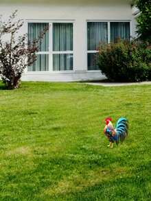The Crowing Rooster At Dawn Symbolizes Punctuality, Diligence, And The Dispelling Of Darkness To Welcome The Light. This Rooster Decor Can Be Used To Adorn Living Room TV Cabinets, Entryway Consoles, And Home Office Desks, Serving As An Auspicious Decoration Representing The Zodiac Sign Of The Chicken While Also Enhancing The Home's Aesthetic. - Multicolor - View 6