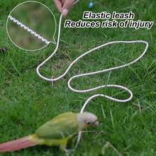 1 Set Lightweight Stretchy Bird Leash For Outdoor, Parrot Flying Tether With Wristband, Leg Strap And Star Cloud Pendant, Gradual Extendable Walking Rope, Suitable For Cockatiel, Parrots, All Seasons - Multicolor - View 12