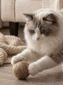 PETSIN 2/4/6pcs Natural Sisal Grass Balls And Chasing Toys, Handmade Cat Toys For Indoor Cats - Multicolor - View 1