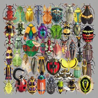 50 st. insekter transparenta 2D retro fantasy sol ins y2k centrum estetiska klistermärken gåvor humoristiska och roliga klistermärken 80-90-tals anime klistermärken för scrapbookingtillbehör kuvert, vattenflaska, dator, bärbar dator, telefon, bagage, anteckningsbok, kylskåp, festivalfest, juldekoration nyår vinter