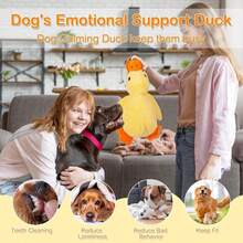 Este juguete de perro en forma de patito amarillo es un juguete que puede calmar las emociones del perro. Hace sonidos de cacareo y crujido, permitiendo que el perro juegue felizmente. Adecuado para razas de perros pequeños, medianos y grandes. - Multicolor - Ver 2