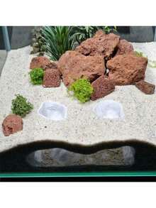 自然不对称树洞水族箱装饰，创意双孔造景摆件，逼真纹理鱼虾藏身处，个性化树脂水族箱景观装饰