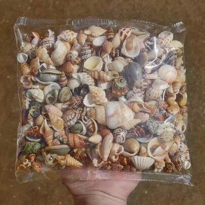 ถุง 50 กรัม/100 กรัม/200 กรัม หอยจิ๋วหลากสีสันคละแบบ - 12 สไตล์ไม่ซ้ำใคร เหมาะสำหรับงานประดิษฐ์ DIY, ทำสมุดภาพ, ขวดแก้วลอยทะเล และของตกแต่งตู้ปลา, ของขวัญวันเกิด & ของขวัญรับปริญญา (ธรรมชาติ 100%, อาจแตกต่างจากภาพเล็กน้อย, อาจมีตำหนิเล็กน้อยและหลุดร่วง)
