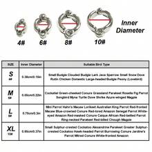 Conjunto de 1 guia de voo super elástica para papagaio com pulseira e pingente de desenho animado fofo, adequada para calopsitas, cacatuas, periquitos e outras aves de exterior, corda retrátil para caminhada de pássaros, sem argola para os pés, adequada para treinamento e soltura de pássaros em todas as estações do ano. - Multicolorido - Ver 11