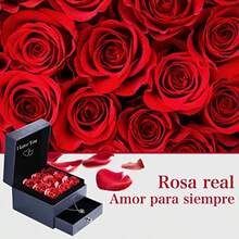 Collar de Rosa Preservada con I Love You en 100 Idiomas 9 Flores de Rosas Eternas Regalo de Día de La Madre San Valentín Cumpleaños Aniversario Regalo para Mujer Mamá Esposa Novia - como en la foto - Ver 1