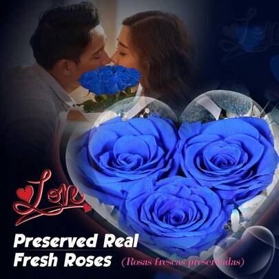 ADDWel - Regalos románticos para ella rosas azules preservadas para  con collar de plata de ley para esposa novia en el día de San Valentín cumpleaños aniversario día de la madre Navidad