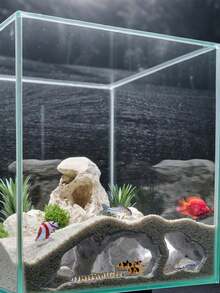 3D打印鱼缸洞穴隧道 - 适合鳅鱼、清道夫、虾类的隐蔽装饰 | 下沉式底座 + 观察孔 | 兼容底砂 | 为达到最佳效果，建议用沙子或重物压住（请注意：由于3D打印工艺，可能会出现轻微不平整，感谢您的理解） - A - 查看 1