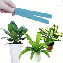 1pc Handheld Soft Bristle Leaf Cleaning Brush With Wooden Handle - Perfect For Home, Garden & Outdoor Use, Ideal For Kitchen, Bedroom, Living Room - No Electricity Needed, Easy To Clean, Garden Cleaning Tool|Ergonomic Design| Cleaning Brush, Leaf Cleaning Brush, Cleaning Brush, Kitchen Accessory, Cleaning Accessory For Home, Bottle Cleaning Brush, Cleaning Product, Cleaning Equipment - Multicolor - View 8