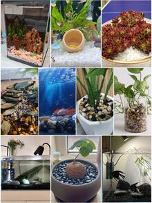 100g/200g/500g/800g Polished Colorful Pebbles For Aquarium Decoration, 6-30mm Smooth Stones Suitable For Fish Tank, Turtle Tank, Glass Container, Terrarium Landscaping. Ideal For Decorations For Ramadan, Easter, Mother's Day, Valentine's Day, Christmas, Halloween And More. Can Also Be Used For Indoor/Outdoor Plants, Vases, Planters - Multicolor - View 12
