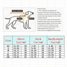 Autumn/Winter Pet High Elastic Knitted Sweater, Small Dog Lace Collar Knitwear, Cat & Dog Two-Leg Clothes, Gentle Warm Sweater, Pet White Knitted Sweater, Teddy/Poodle Small Dog Autumn/Winter Warm Clothes, Bow Lace Trim Base Shirt - Apricot - View 2