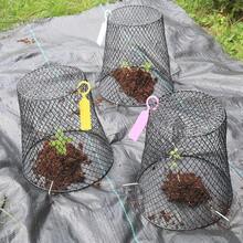 10Pcs Chicken Wire Cloche Plant Covers, 9.2*9.2 Inches Plant Protectors From Animals, Metal Garden Plant Cages For Outdoor Plants, Keep Rabbits, Squirrels, Birds Out - 10PCS-9.4"x9.4" - View 8