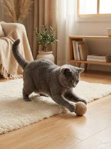 PETSIN 2/4/6pcs Natural Sisal Grass Balls And Chasing Toys, Handmade Cat Toys For Indoor Cats - Multicolor - View 11