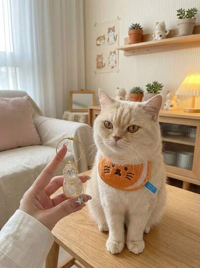 PETSIN 1个可爱透明猫毛收纳盒挂件扭蛋猫毛收纳胶囊扭蛋包钥匙扣挂件收藏宠物纪念品