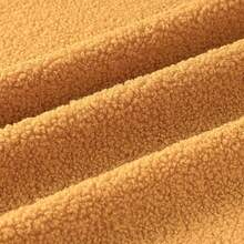 1pc 100% Polyester Teddy Fleece Fabric, Soft Plush Fabric For Sofa, Cushion, Jacket, Autumn/Winter Warm Clothing, DIY Craft Decoration - Multicolor - View 25