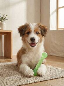 PETSIN 1pc Random Pet Chew Toy - Multicolor - View 5