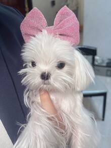 PETSIN Bộ 3 băng đô cài tóc bằng vải bóng cho thú cưng, có thể điều chỉnh kích thước, phụ kiện trang trí cho mèo và chó, cần thiết cho việc trang điểm thú cưng dễ thương trong các dịp lễ, giúp cún cưng luôn đáng yêu, tạo nên những bức ảnh trang trí bắt mắt, mềm mại và thân thiện với da mà không gây khó chịu cho đầu, phù hợp cho nhiều dịp như Ngày Valentine/Năm mới/Lễ hội mùa xuân/Tiệc cưới/Hàng ngày/Tiệc tùng (Màu đen, xanh navy, xanh nhạt, hồng, đỏ, đỏ hồng). - Hồng - Xem 5