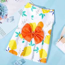 Pet Dress, Dog Clothes, Cat Dress, Princess Dress - Multicolor - View 5