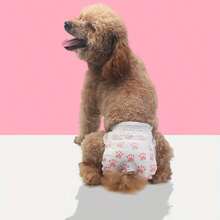 Disposable Dog Diapers Thermal Underwear Universal Pet Pads - one-size - View 4