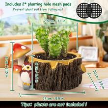 Macetas suculentas de búho para plantas con orificio de drenaje macetas para plantas de interior suculentas cactus maceta de interior para decoración del hogar oficina jardín - De - Ver 2