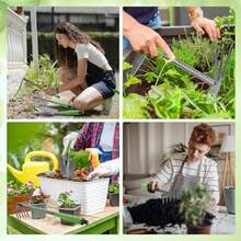 Bonsai Tools - VerdeyNegro - 查看 7