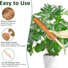 椰子棕榈枝，适合室内植物，龟背竹支撑杆，高椰子纤维茎，盆栽植物配件，绿萝，蔓绿绒和攀援植物。 - 棕色 - 查看 5