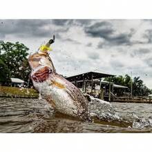 Southern Salt Hoodwink Señuelo Fluke de plástico suave de 4.7 pulgadas diseño sin malas hierbas con bola de cola ponderada paquete de 5 para peces rojos truchas platija y lubina listo para la - Pecilloblancodelamuerte - Ver 4