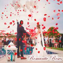 1200 Red Rose Petals - Artificial Fake Rose Flower Petals For Valentine's Day,Wedding Decorations, Romantic Proposal, Anniversary, Party, Aisle Decor, Flower Girl - 預設 - 查看 2