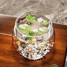Round Transparent Fish Bowl, Shatterproof Small Desktop Hydroponic Goldfish Tank, Small Landscape Goldfish Bowl, Suitable For Office And Living Room, Creative Shatterproof Aquarium For Home, Random Style Delivery - Clear - View 8